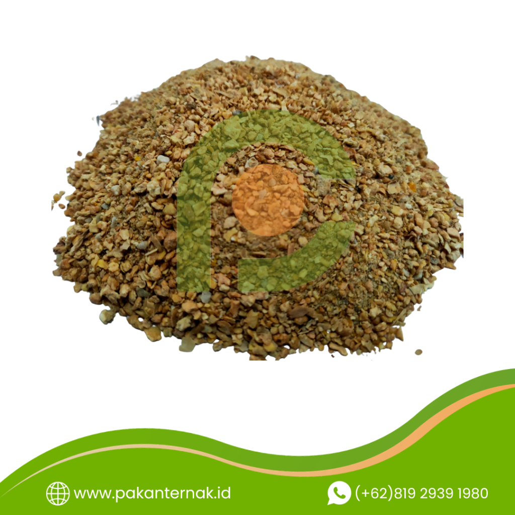 pakan unggas sa layer